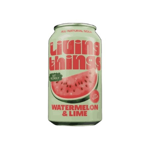 Prebiotic Supplements